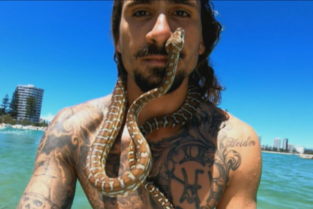 ‘Don’t take your python surfing!’: Man fined over viral stunt