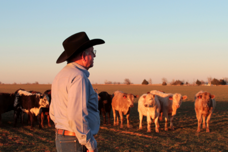 Cattle farmers’ plea to the city: ‘We’re on the edge of disaster’