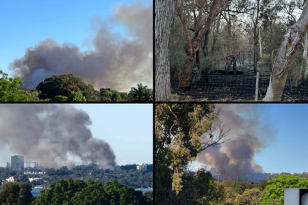 Kings Park fire: arson squad search for answers amid destruction