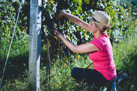 It’s all in the name: winemakers celebrate EU trade breakdown