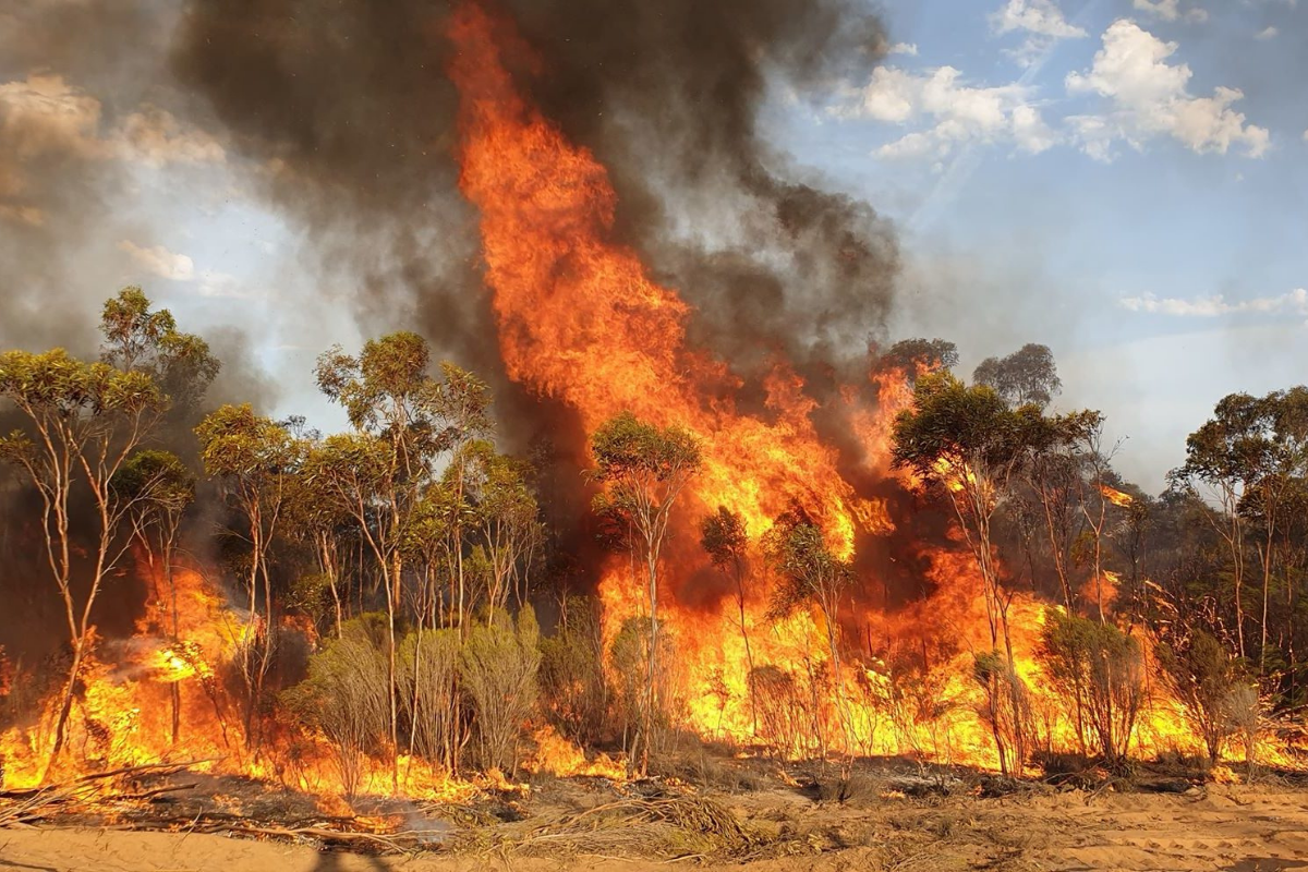 Article image for Perth’s generosity commended as bushfire victims continue to take stock