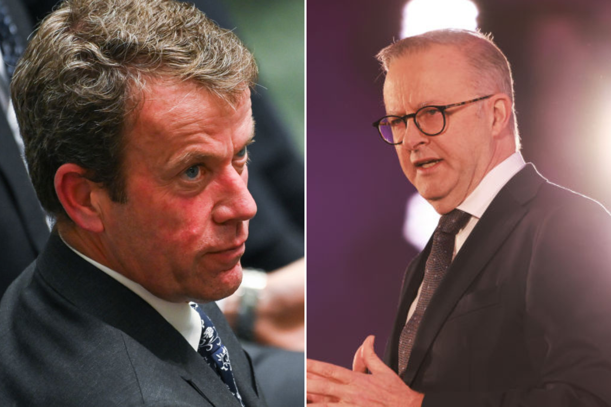 Article image for Shadow immigration minister takes Albanese government to task over failures with latest High Court ruling