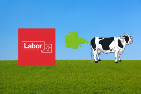 Labor pushes farmers to tackle climate change by reducing cow gas