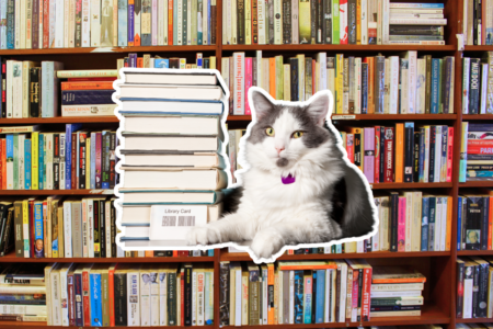 Are Perth cat libraries a purrrrfect idea?