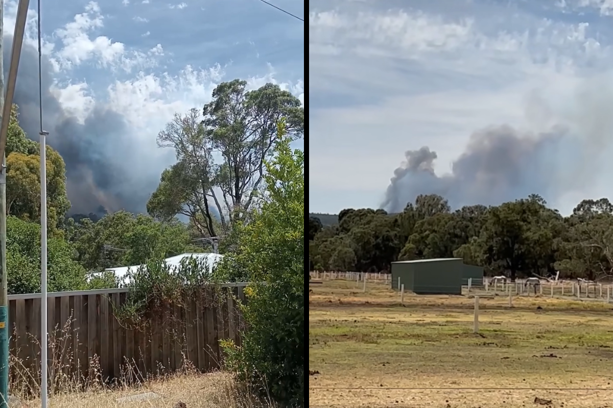 Article image for Cause of sudden, destructive Parkerville bushfire identified