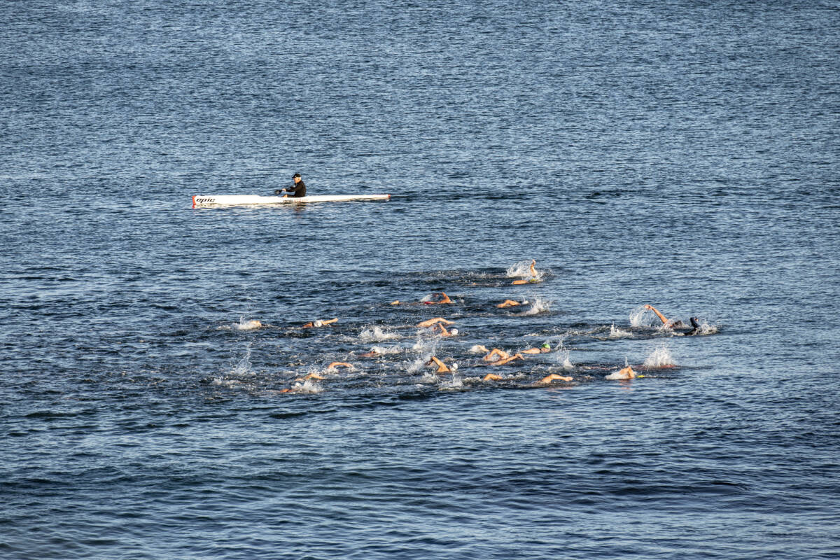 Article image for Open water swimming is making a splash in Perth