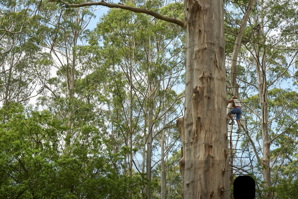 Article image for Fears iconic WA tourism town is facing a slow death