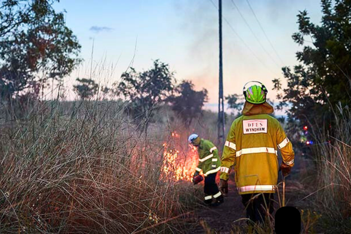 Article image for Prescribed burns: deterrent or death trap?