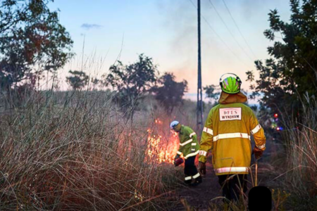 Prescribed burns: deterrent or death trap?