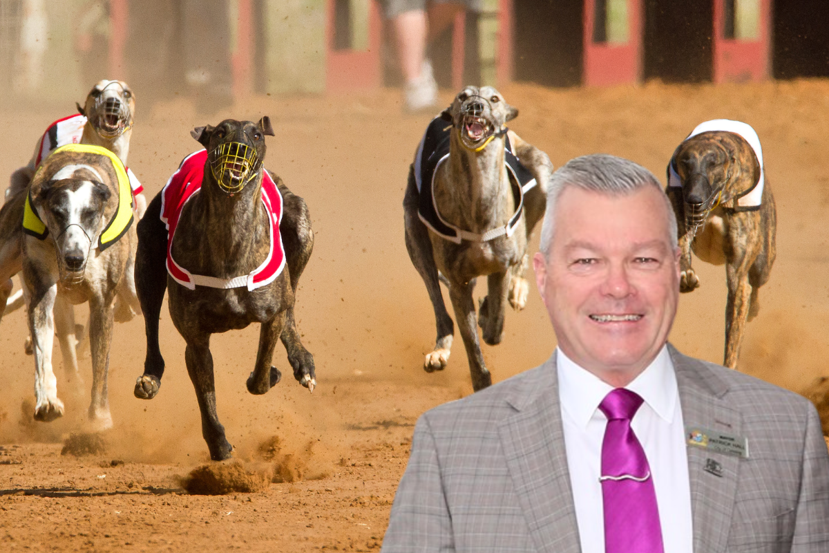 Article image for Canning Mayor calls for end to greyhound racing