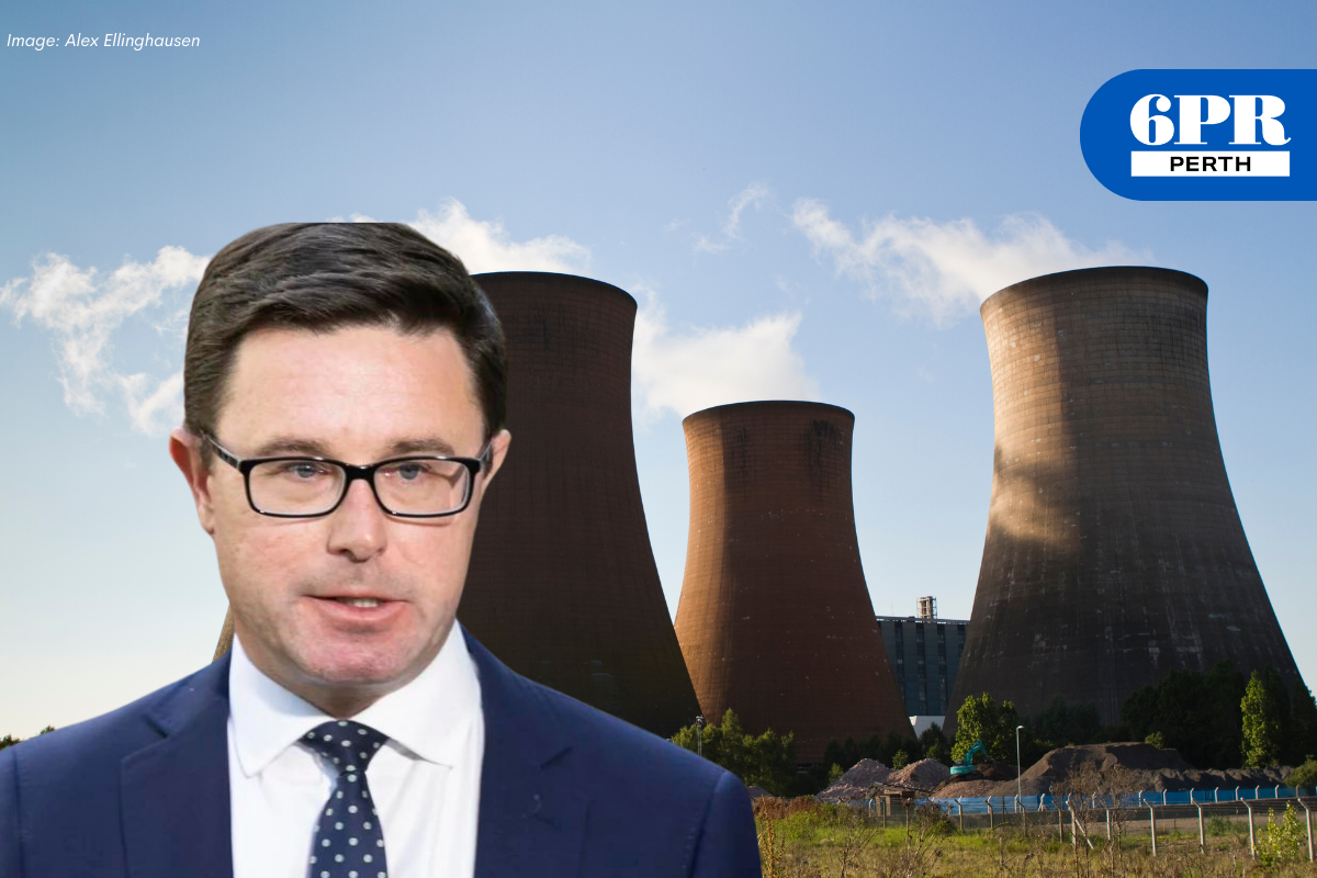 Article image for Littleproud pushes PM to have “honest” energy future debate