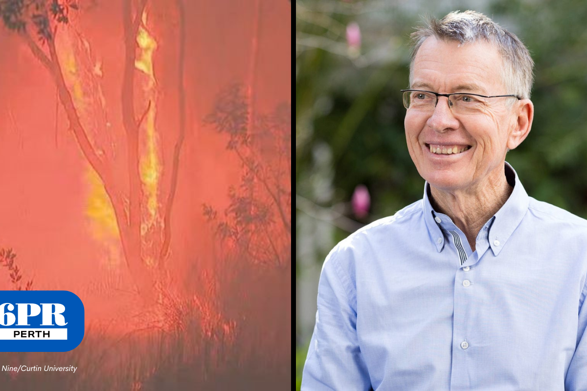 Article image for Famed botanist distraught as bushfire destroys renowned property