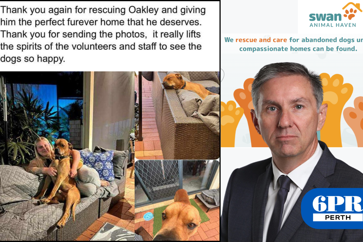 Article image for The issue with Oakley: animal rescue dispute leads to online outrage
