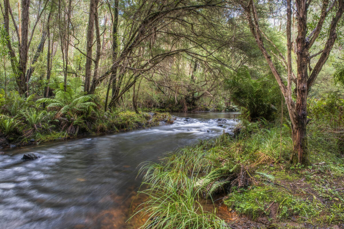 Article image for Man wins bravery award for rescuing kids on school bus trapped in NT creek