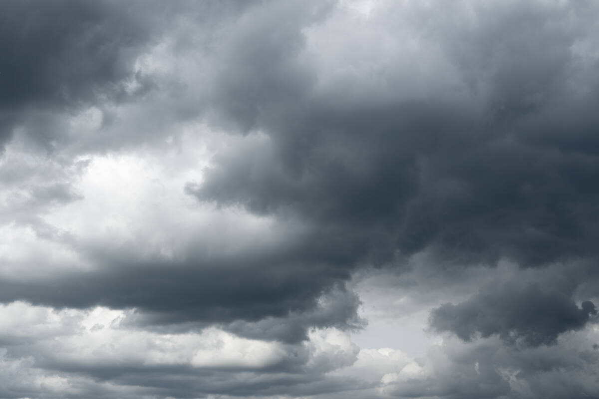 Article image for ‘So many false alarms’: Millsy questions why severe weather forecasts are not always accurate