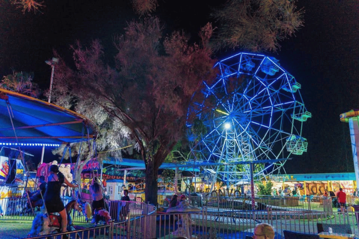 Article image for End of an era: Iconic King’s Carnival prepares for final send-off this Sunday