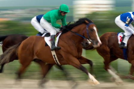 Racing suspended at Albany Racing Club, threatening the richest horse race in the WA bush