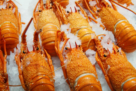 Western Rock Lobster advocate declares, “The gloves are off,” accusing the state government of breaking its promise