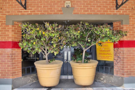 Fremantle Mayor defends allegations that the city is implementing hostile architecture to deter the homeless