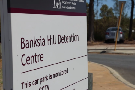 Expert argues artwork funding would be better spent on WA’s most vulnerable.