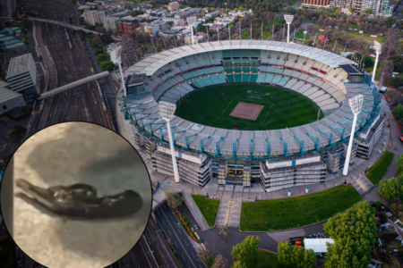 Security expert highlights flaws in MCG security following arrest of two armed men