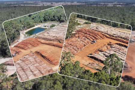 Forestry expert concerned that an estimated 100,000 tonnes of timber is being left to rot