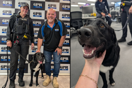 Sniffing out crime and leading the pack is making the K9 section indispensable to the WA Police
