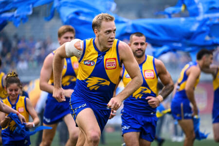 ‘I’m calling for him to be removed’: Brad Hardie on the recent news regarding Eagles co-captain Oscar Allen