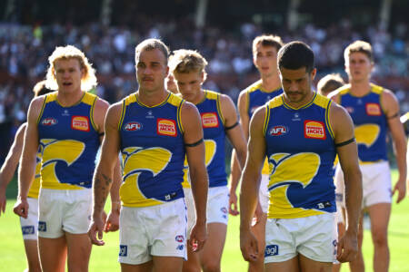 ‘Deary me’: Brad Hardie questions West Coast’s team selection for clash against Essendon