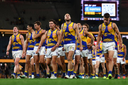 ‘Absolute mess’: Brad Hardie claims significant divisions within West Coast Eagles