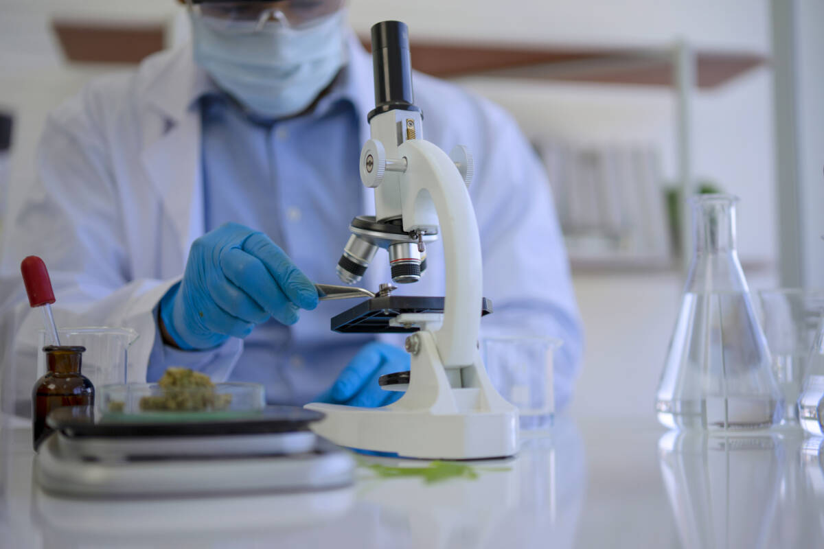 Article image for New research finds cannabis delivers long-term relief for chronic conditions