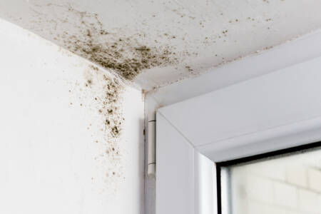 Mother of three almost left homeless after mould issues forced her to leave rental home