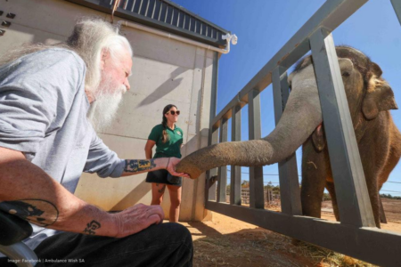 Perth zookeeper’s touching reunion made possible by Ambulance Wish