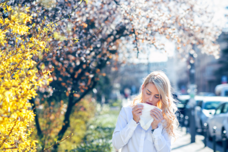 Tree visualisation tool developed to assist hay fever sufferers