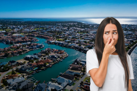 Suburban spread could be contributing to the stink in the south