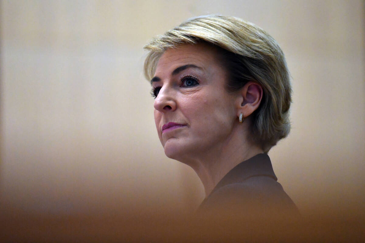 Article image for Michaelia Cash weighs in on the Nationals and Liberals split