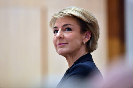 Liberal senator Michaelia Cash confirms she wasn’t consulted on the Opposition’s now dumped WFH policy