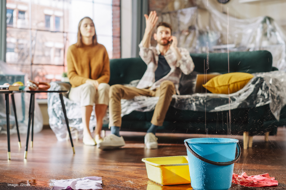 Article image for Tenants afraid to report home issues as the rental crisis worsens