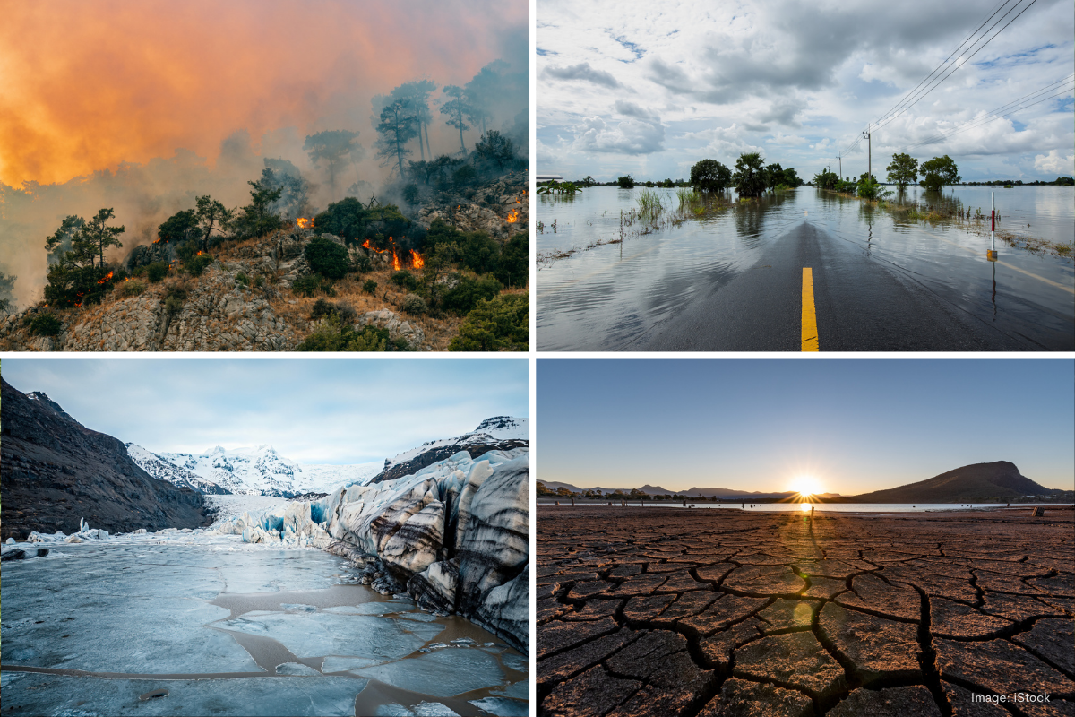 Article image for World court makes historic climate change decision