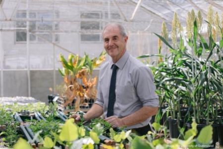 How next-gen plants are reshaping medical treatment