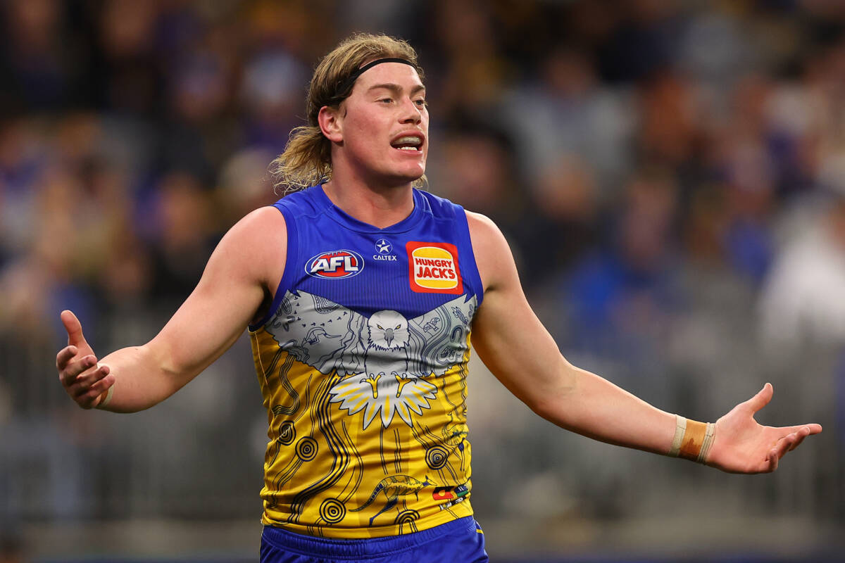 Article image for ‘Someone has to pull him up’: Hardie slams AFL over Harley Reid’s tripping punishment