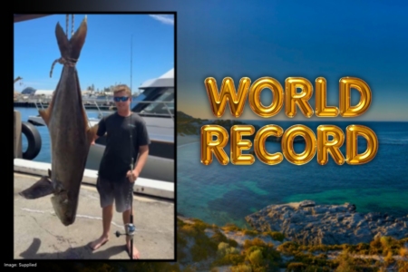 Rottnest 80kg cobia officially breaks world record