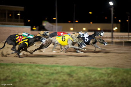 Greyhound racing in WA could be nearing its end