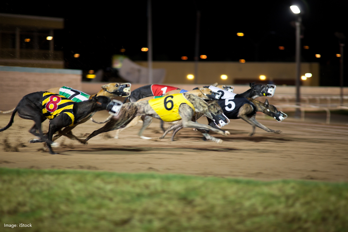 Article image for Greyhound racing in WA could be nearing its end