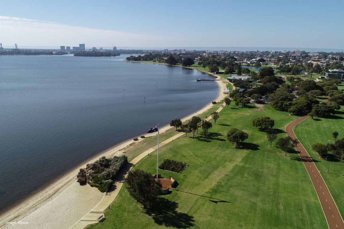 Article image for South Perth ratepayers face whiplash after council fight over tree protection