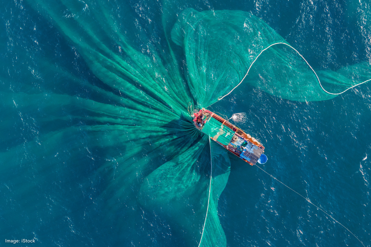 Article image for Border force enlists recreational fishermen to combat illegal fishing