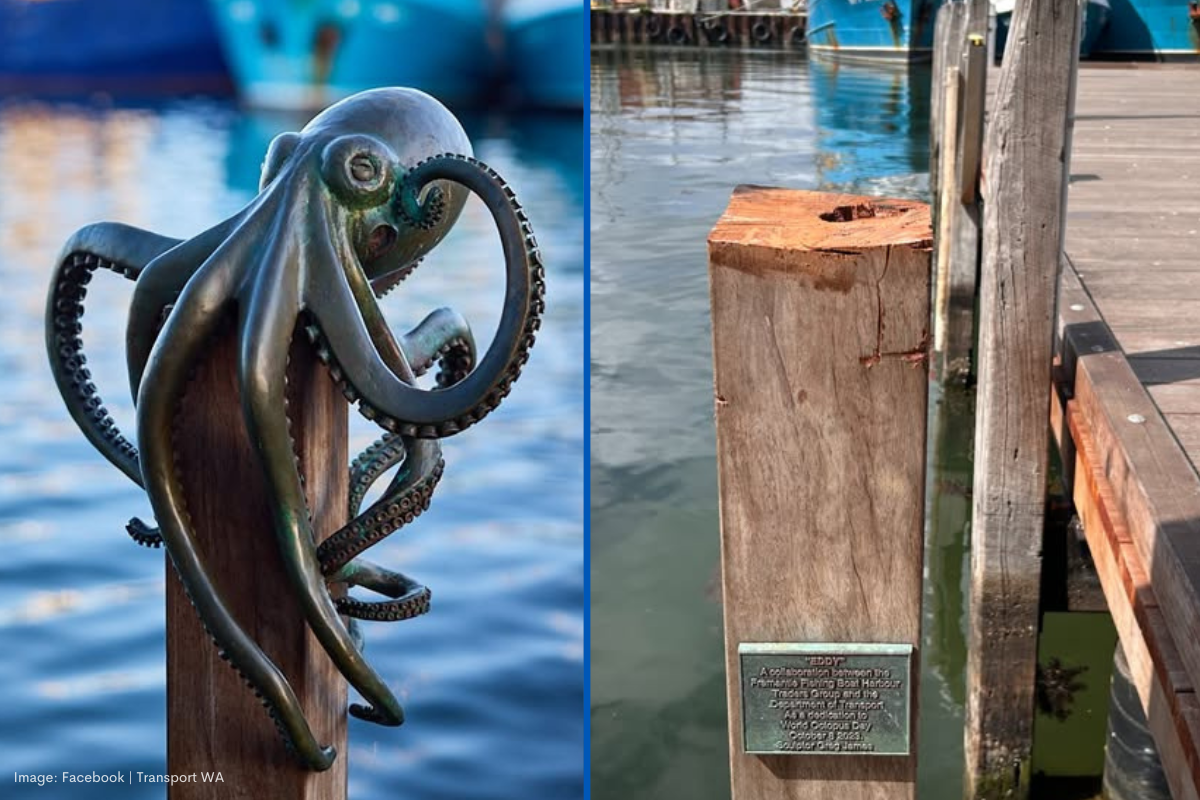 Article image for Thieves steal Eddie the Octopus sculpture, artist vows to continue