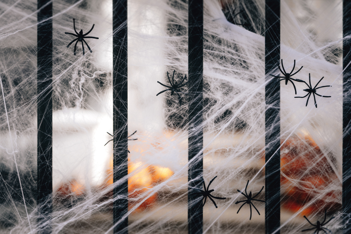 Article image for Go green this Halloween: A plea from bird lovers