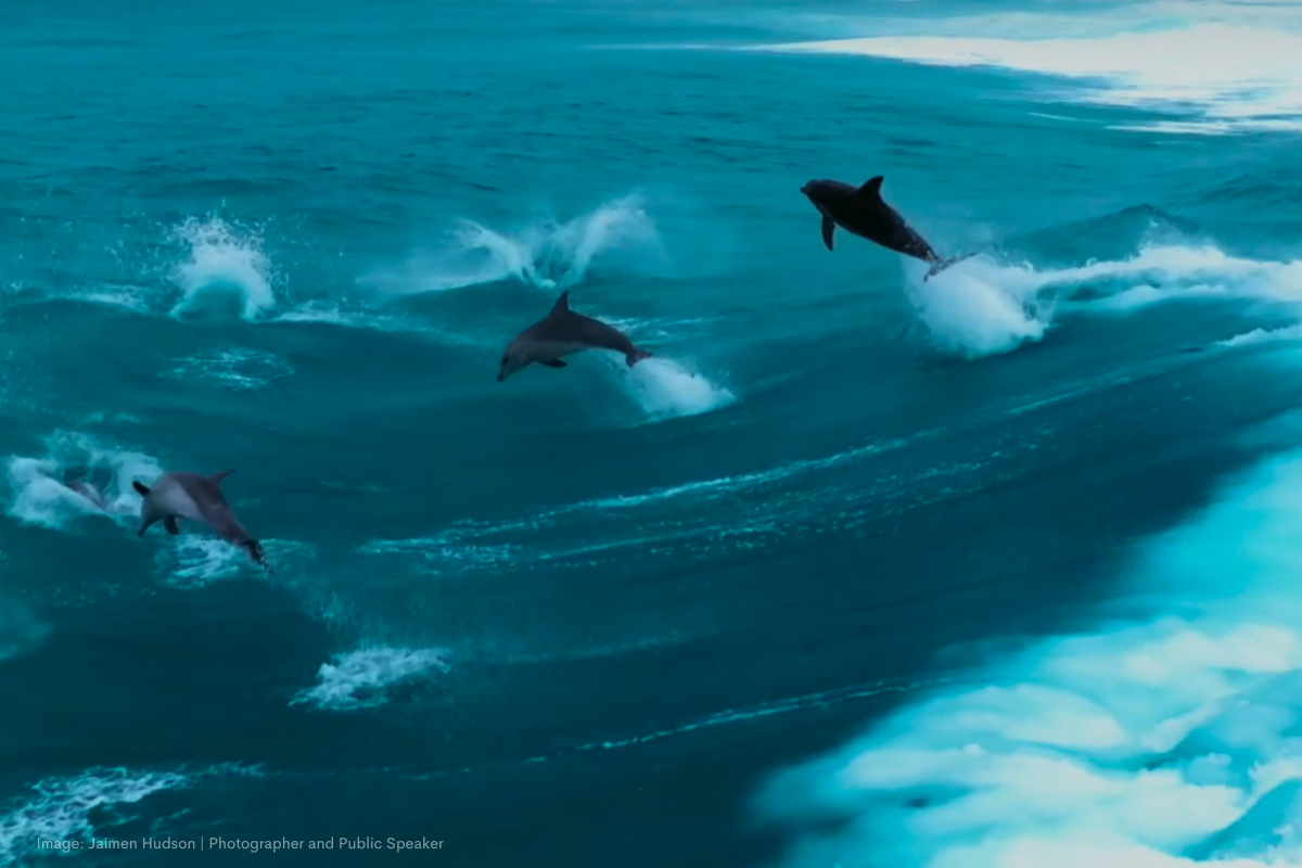 Article image for Esperance’s ocean wonders and mesmerising moments captured