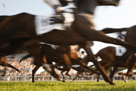 Big crowd is expected at Ascot for this year’s Melbourne Cup